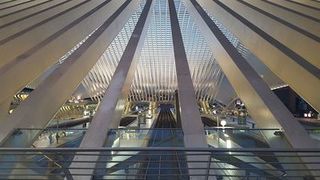 Liège-Guillemins_train_station_(17)