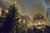 Wünsche zum Neuen Jahr 