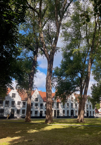 self.bildunterschrift